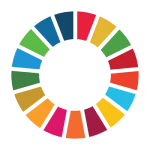 SDG's Logo